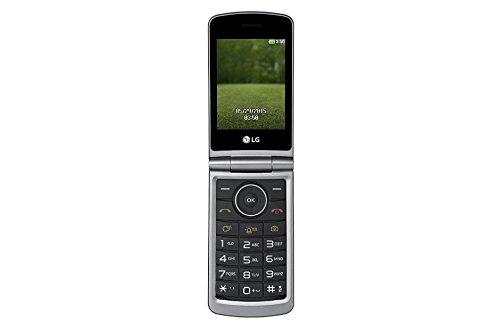 Cellulare, Display 3.0