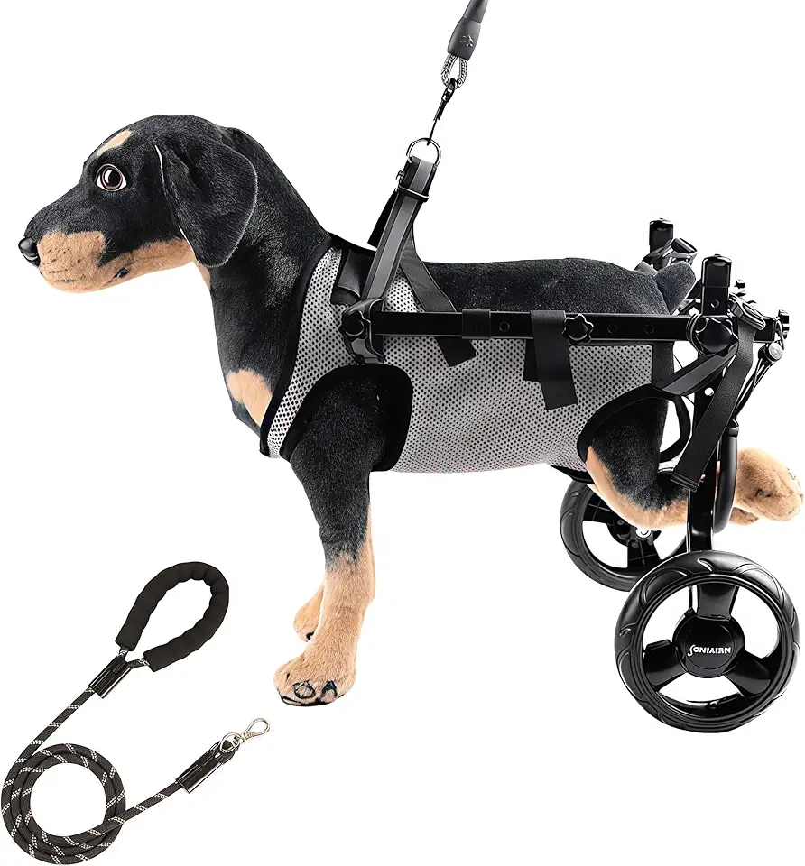 Carrello regolabile per cani disabili con ruote silenziose, imbracatura traspirante e design leggero in lega di alluminio, progettato esclusivamente per cani