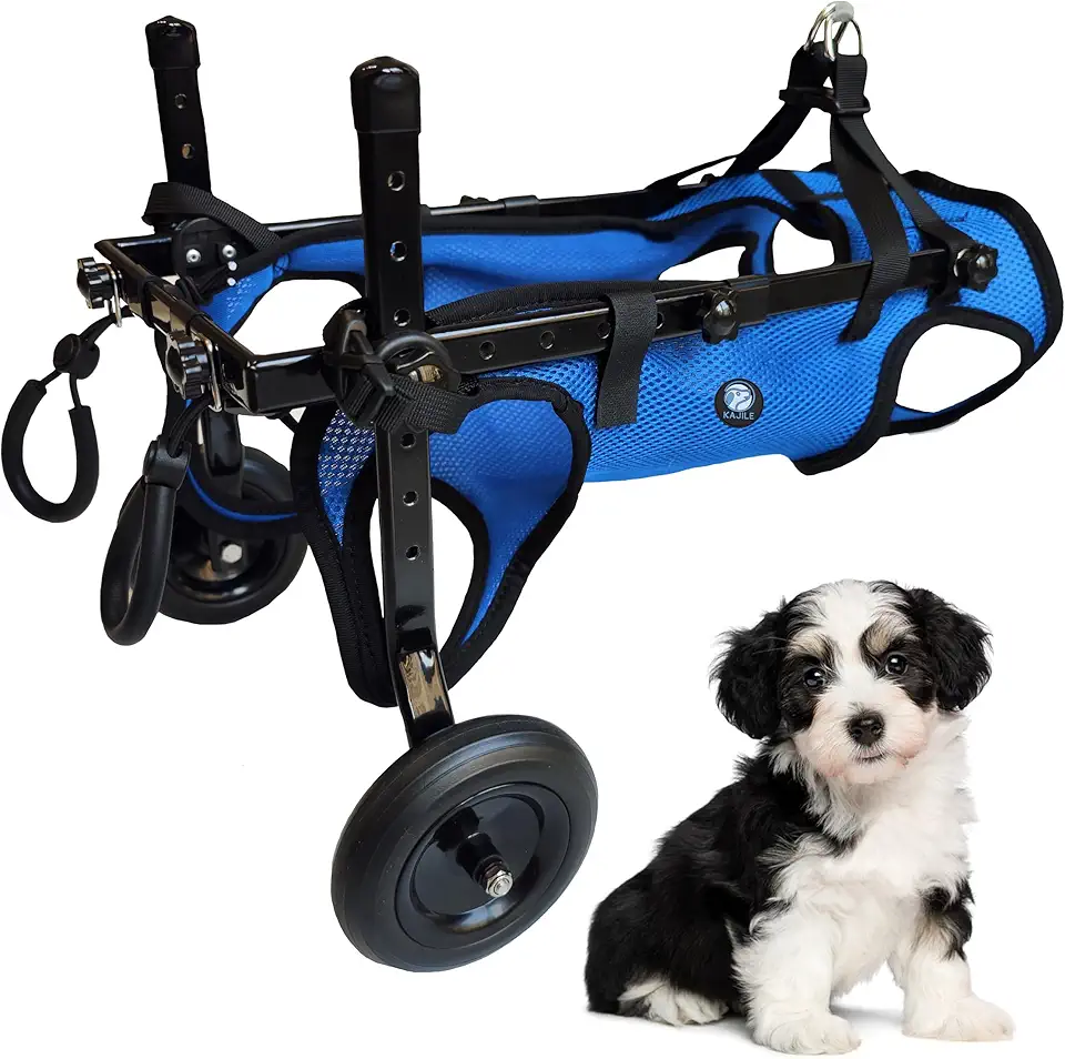 KAJILE Carrozzine per Cani Pieghevoli a Due Ruote,Sedia a Rotelle per Coscia Posteriore di Piccoli Animali Domestici,Sedia a Rotelle per Cani Regolabile per le Zampe Posteriori,Blu,XS