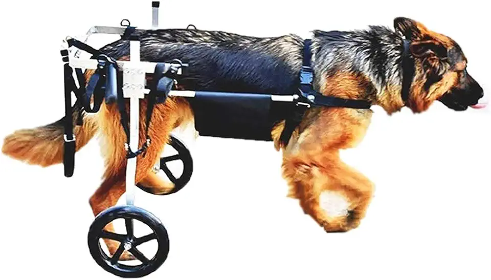 KHUY Carrellino per Cani Anziani Carrello Cane Disabili Grandi Taglia Media Pet Walkin Ruote Piedini Posteriori di Riabilitazione, Cane Cablaggi Auto 15-60kg Cani (Size : Large)