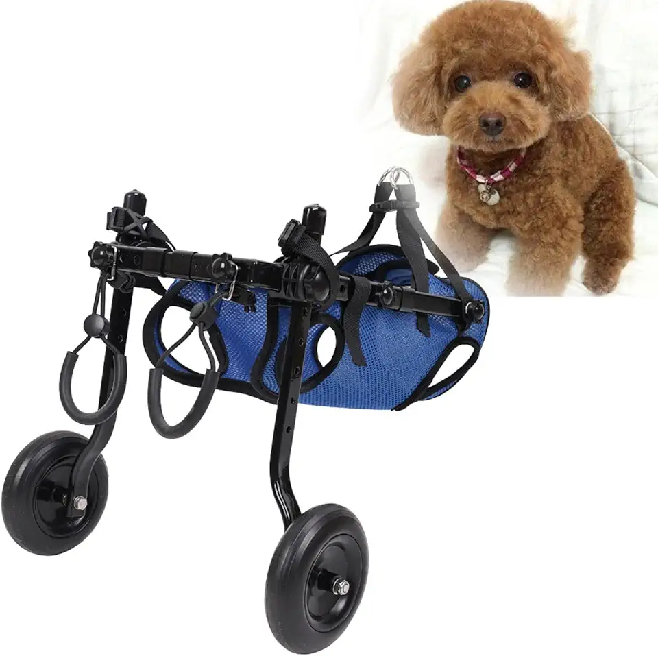 ZYREHAW Sedia A Rotelle per Cani Disabili, Carrello per Cane a 2 Ruote, Riabilitazione delle Gambe Posteriori della, Carrello Scooter con 2 Ruote, per Cani di Piccola Taglia S