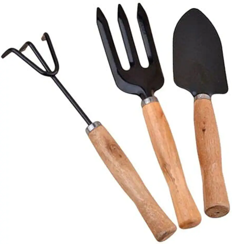 V&AMYA Set 3 Pezzi Utensili da Giardino - Attrezzi per Giardino - Set Giardinaggio 3 Accessori - 2 Rastrelli e 1 Paletta