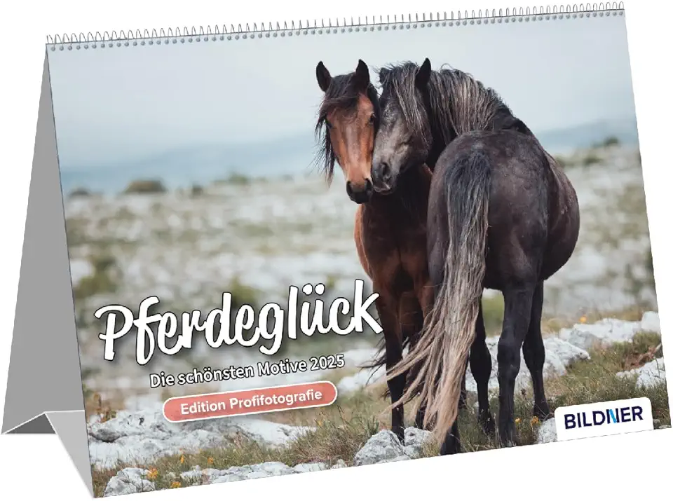 Calendario con cavalli 2025, motivo: cavalli più belli e scatti 2025: calendario da tavolo con rilegatura Wire-O e supporto accattivante... / Calendario cavalli – Edizione Fotografia Professionale